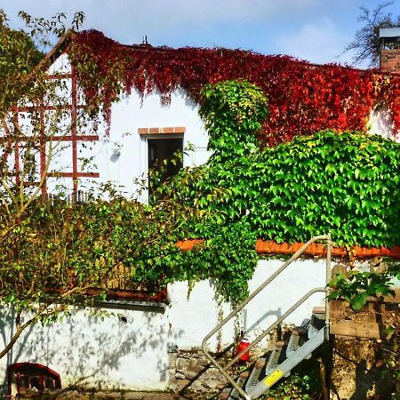 Zeitraum Fewo Apartment Bad Wildungen Luaran gambar