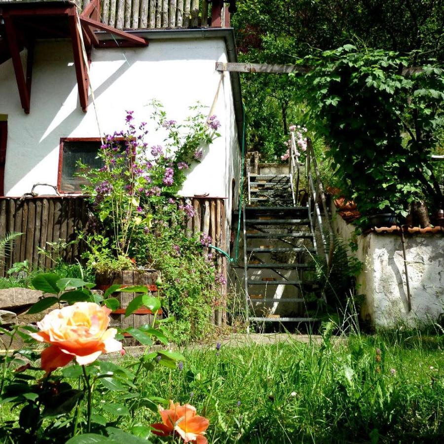 Zeitraum Fewo Apartment Bad Wildungen Luaran gambar